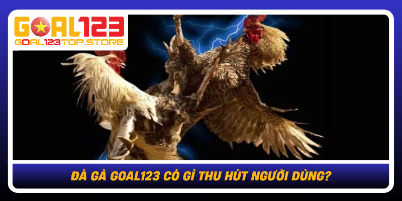 Da Ga Goal123 Co Gi Thu Hut Nguoi Dung