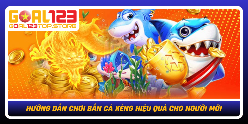 Huong Dan Choi Ban Ca Xeng Hieu Qua Cho Nguoi Moi