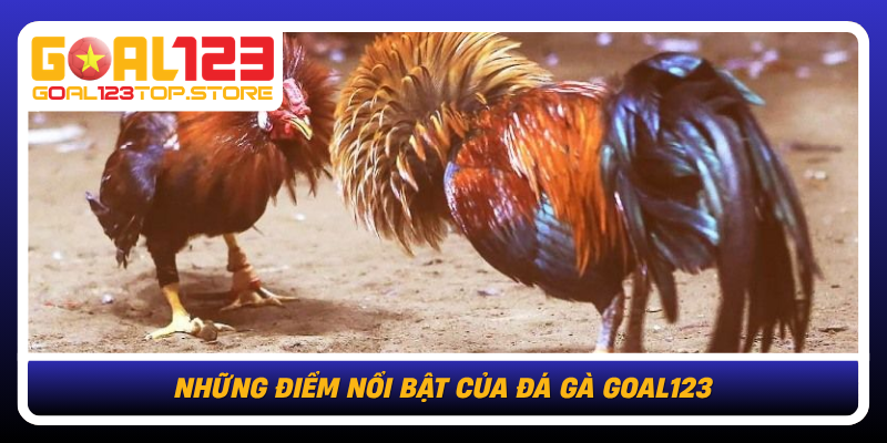 Nhung Diem Noi Bat Cua Da Ga Goal123