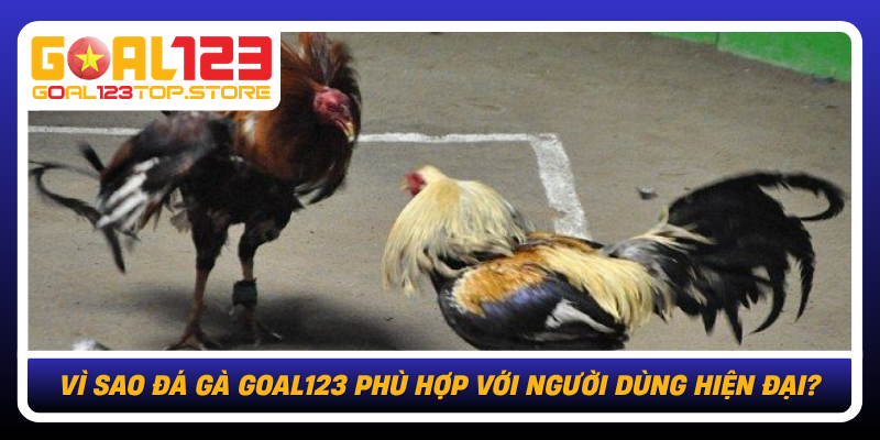 Vi Sao Da Ga Goal123 Phu Hop Voi Nguoi Dung Hien Dai
